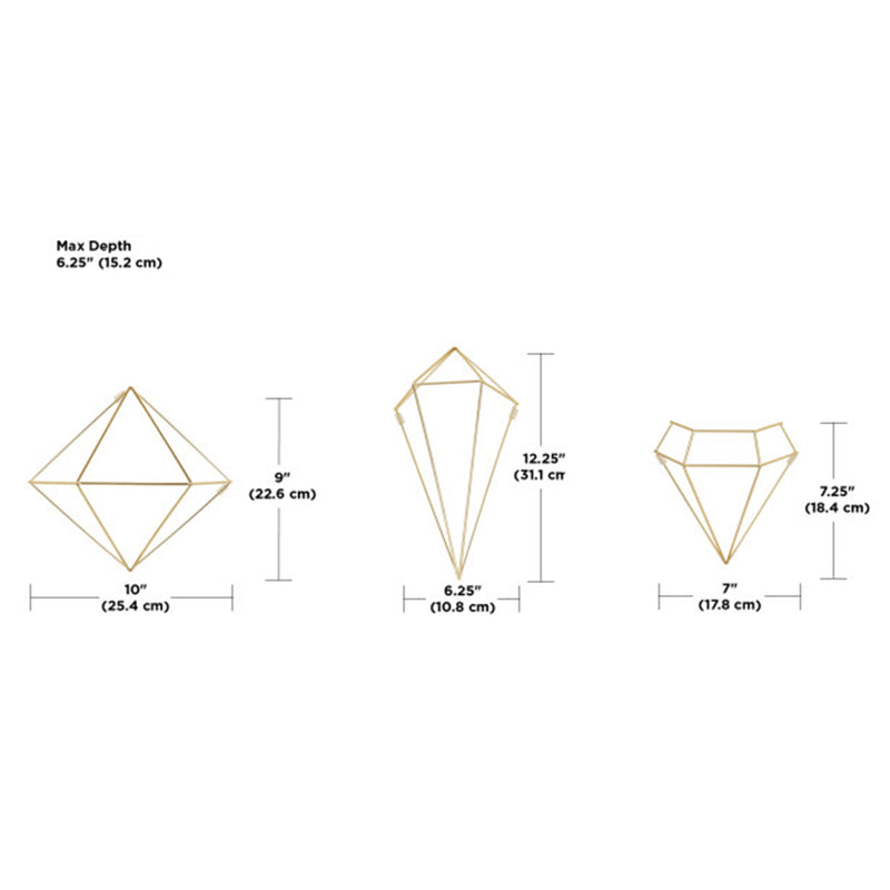 Umbra Prisma Wall D??cor Set of 6