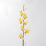 Flourish Large Cymbidium flower yellow (7585808384241)