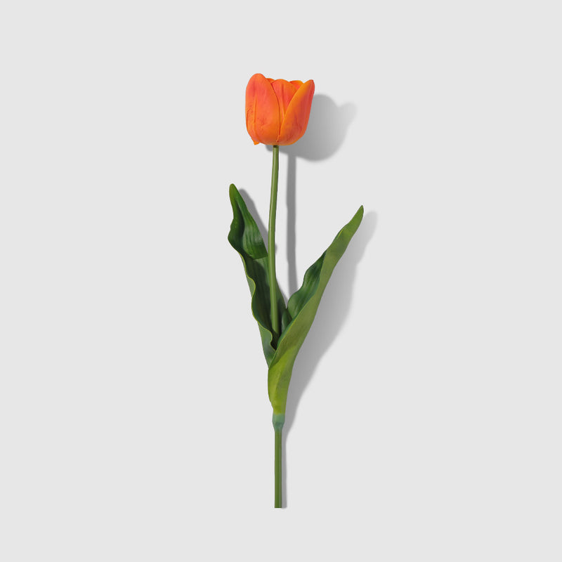 Flourish Single Tulip Spray
