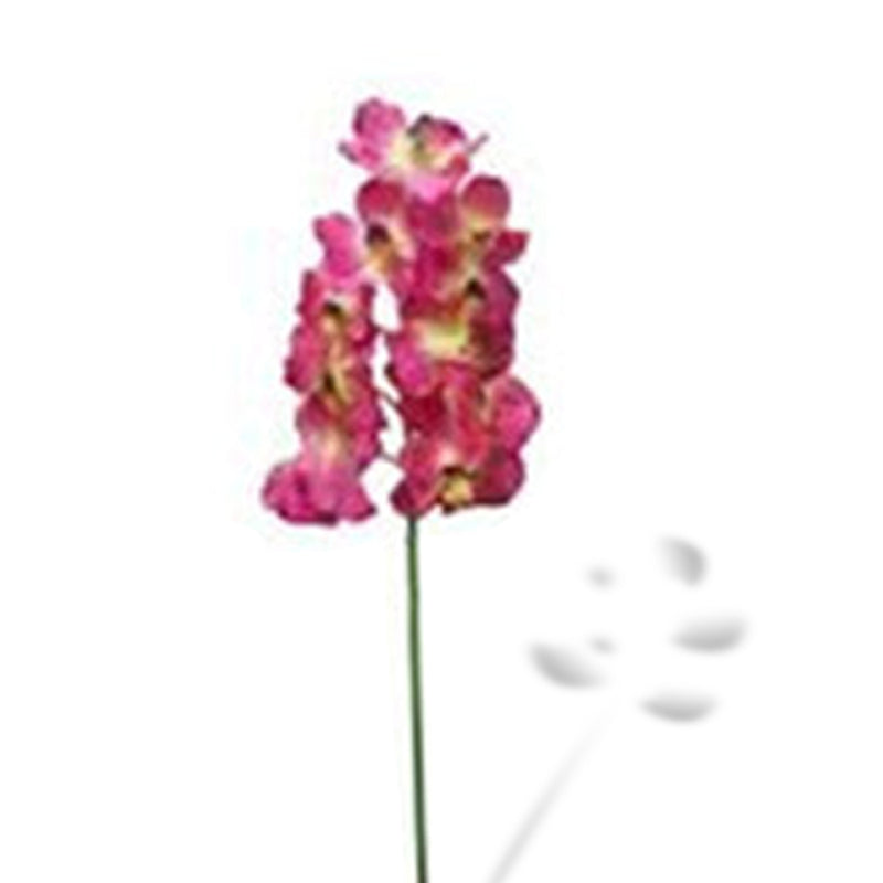Vanda Orchid Spray (4781722402895)